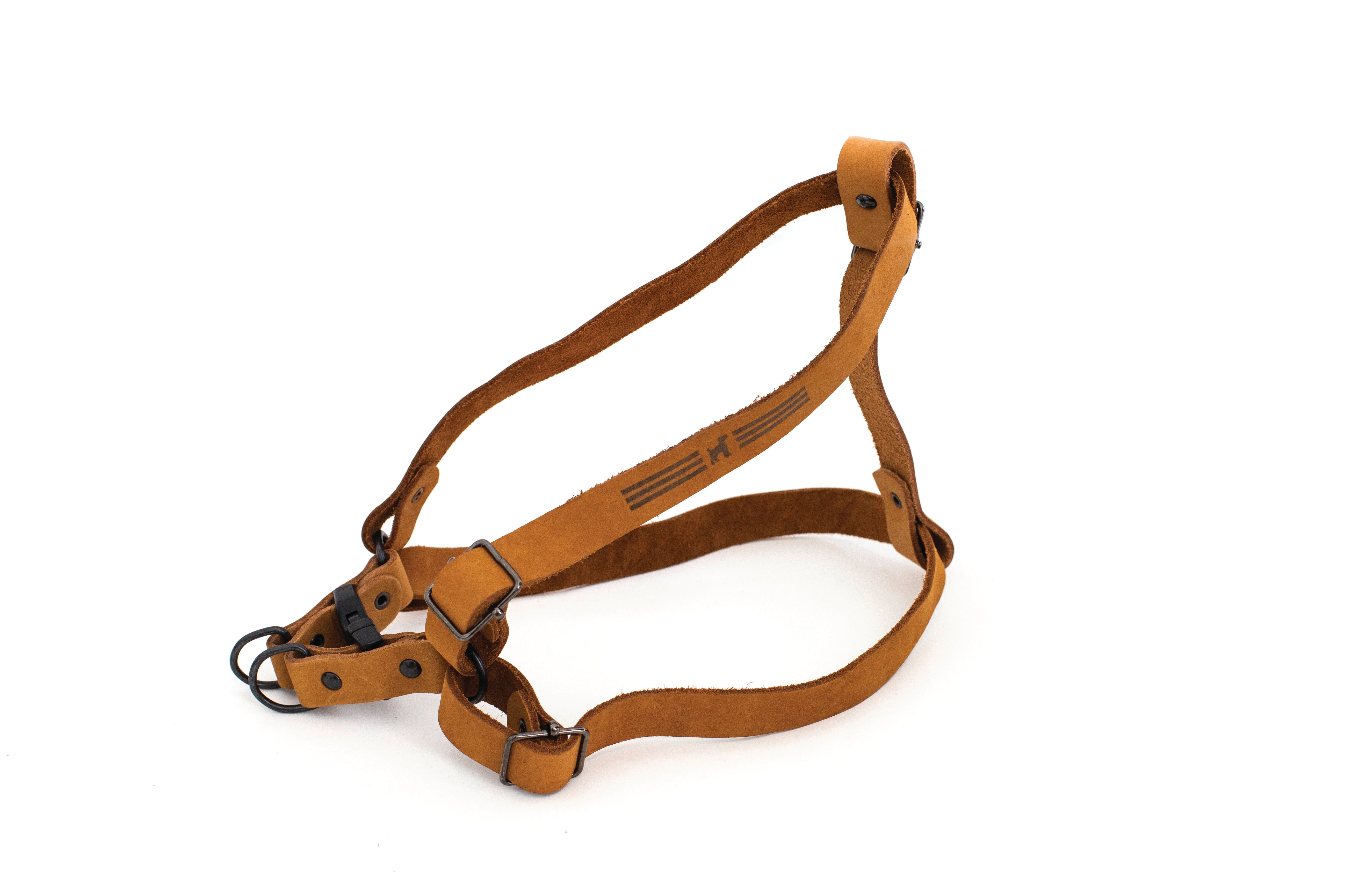 Sport Style Leather Step In Harness Euro Dog Collars and Leads