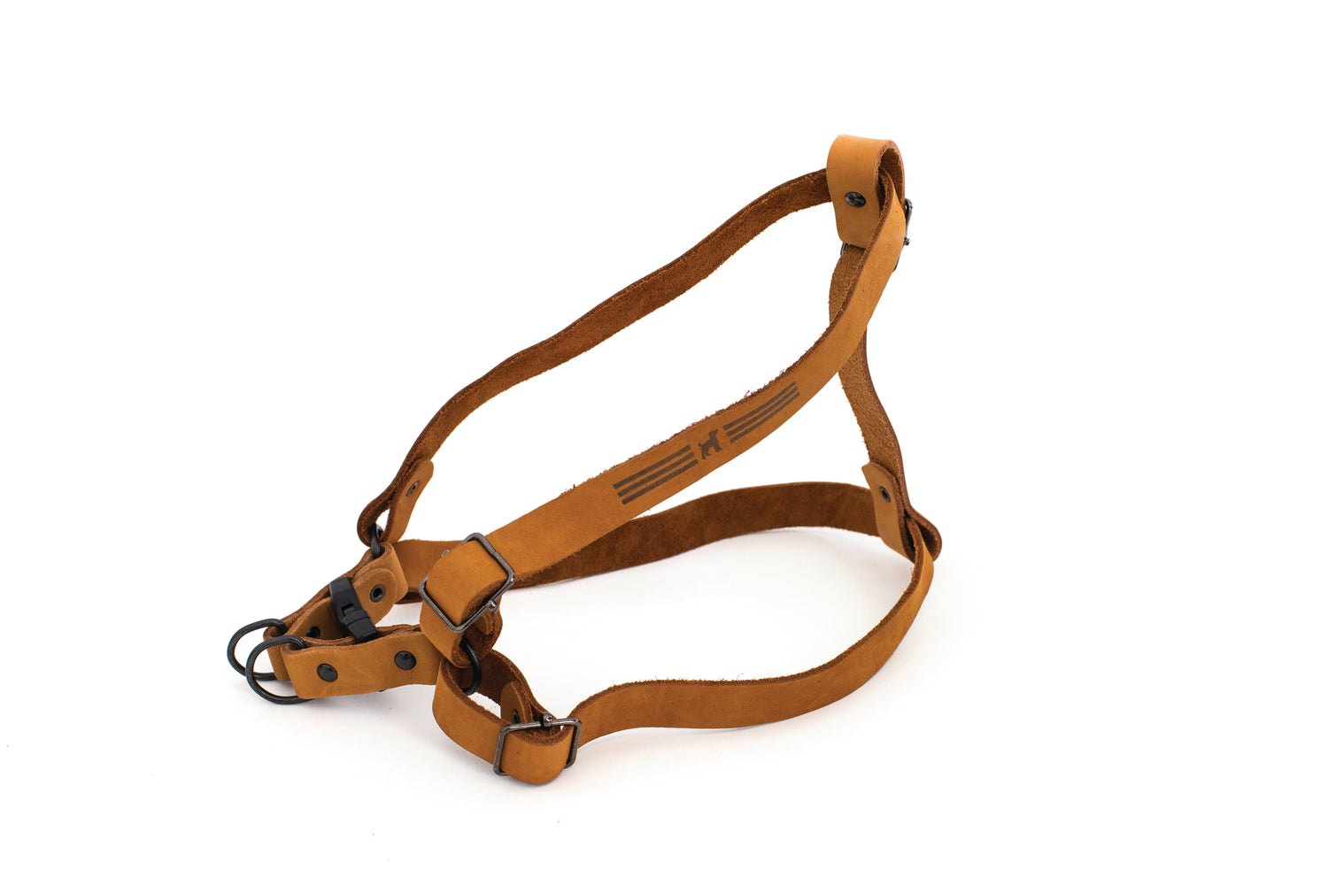 Harnesses