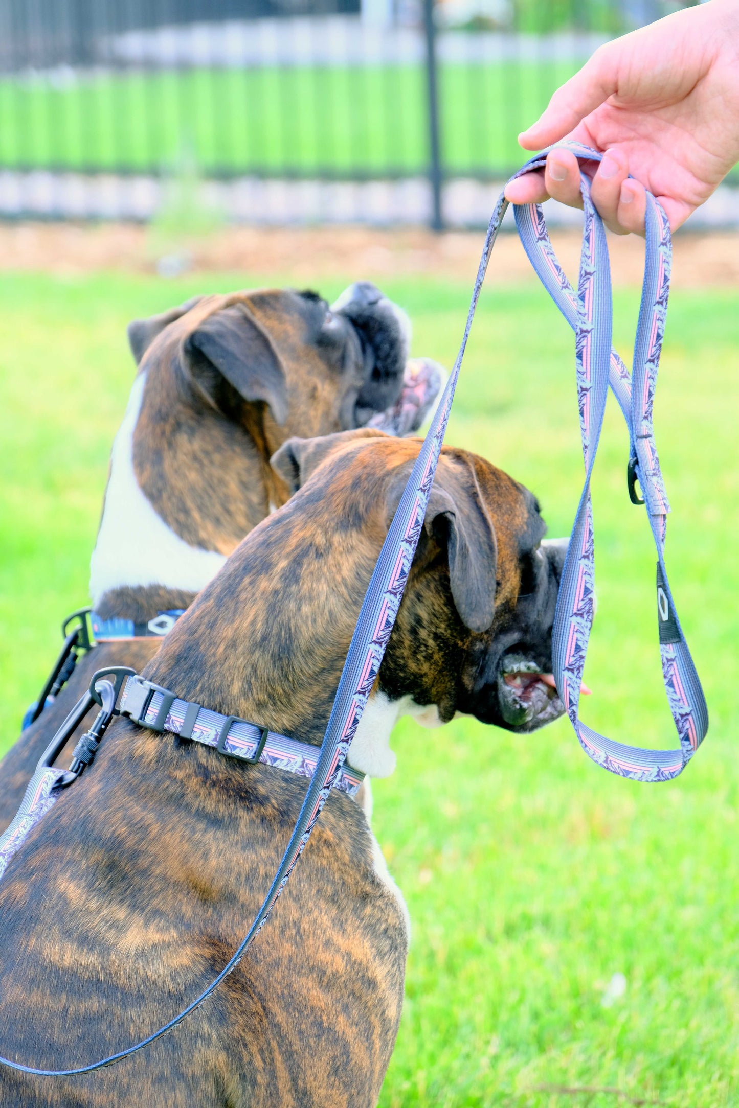 Outdoor Style Collar and Leash SET