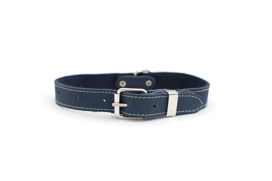 Traditional Blue Jeans Leather Dog Collar