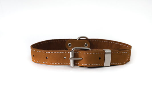 Traditional Earth Brown Leather Dog Collar