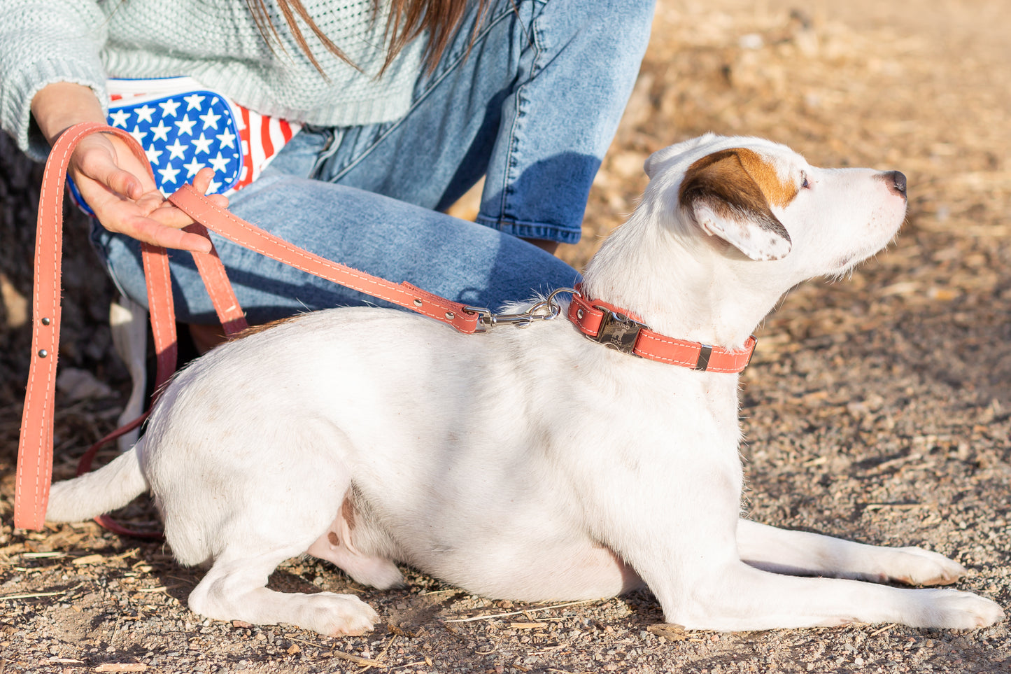 Bestseller Quick-Release Coral Reef Leather Dog Collar with Metal Buckle