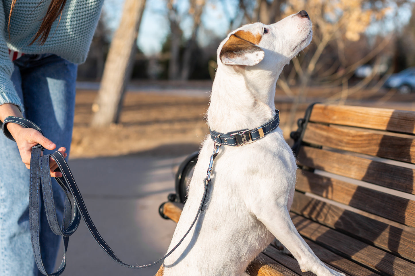 Bestseller Quick-Release Blue Jeans Leather Dog Collar with Metal Buckle