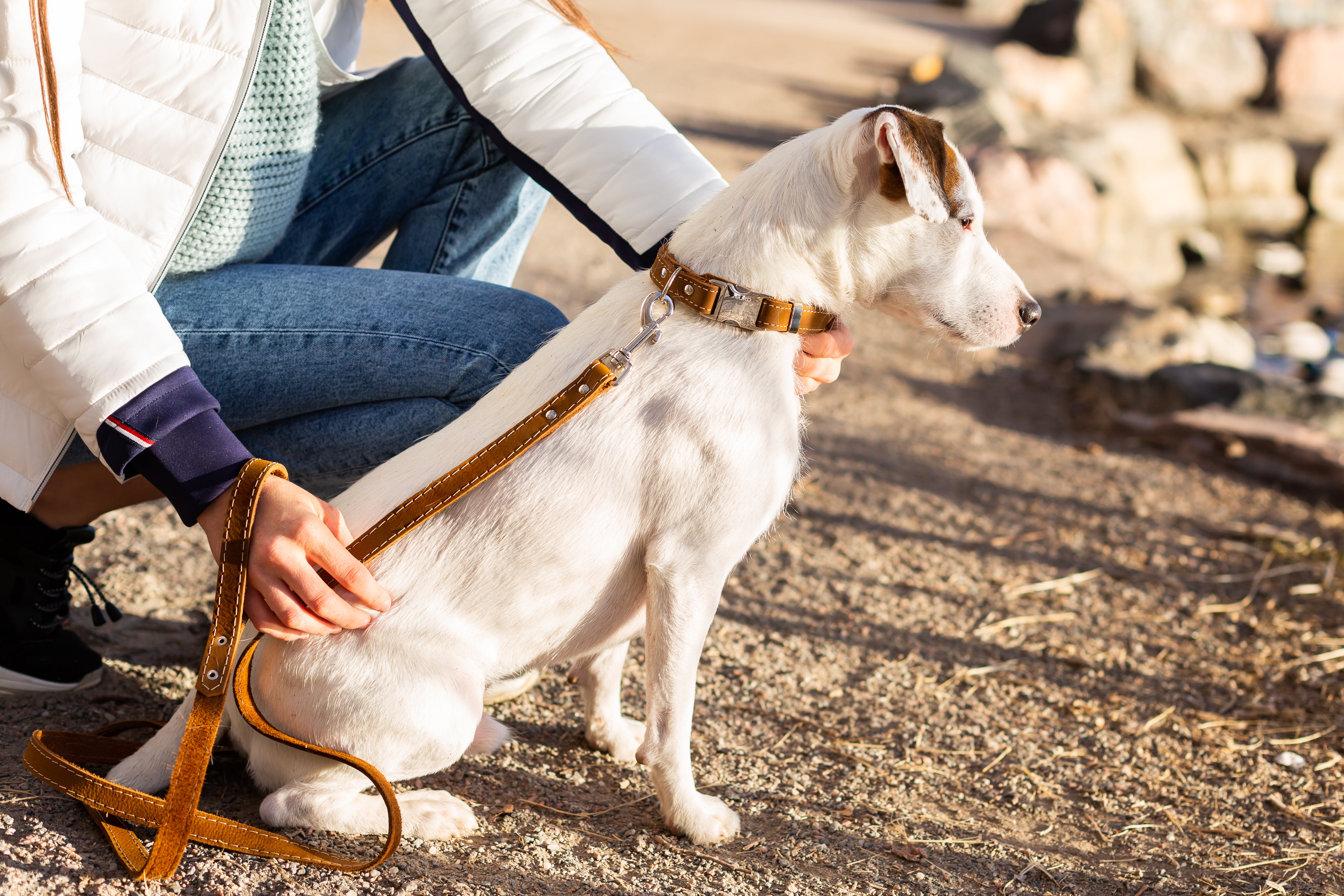 Traditional Earth Brown Leather Dog Leash Euro Dog Collars and Leads