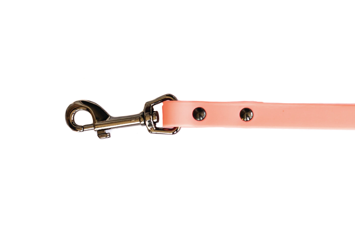 Waterproof Coral Reef Super Soft PVC Dog Leash