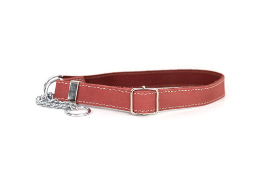 Martingale Coral Reef Leather Dog Collar