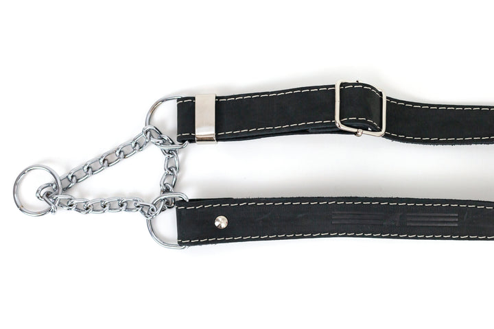 Martingale Leather Dog Collar