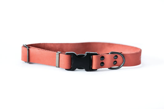 Sport Style Coral Reef Leather Dog Collar