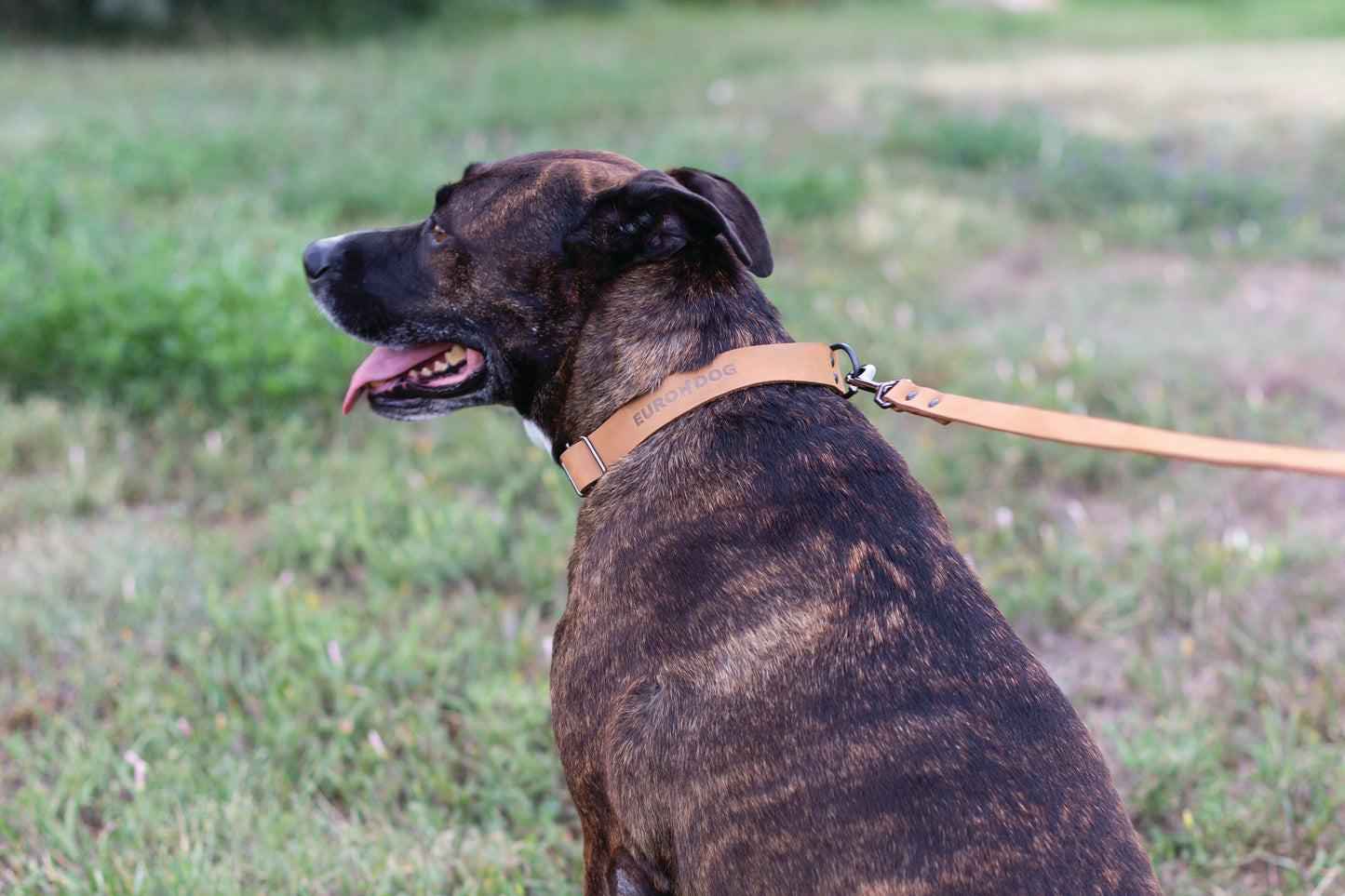 Sport Style Khaki Leather Leash