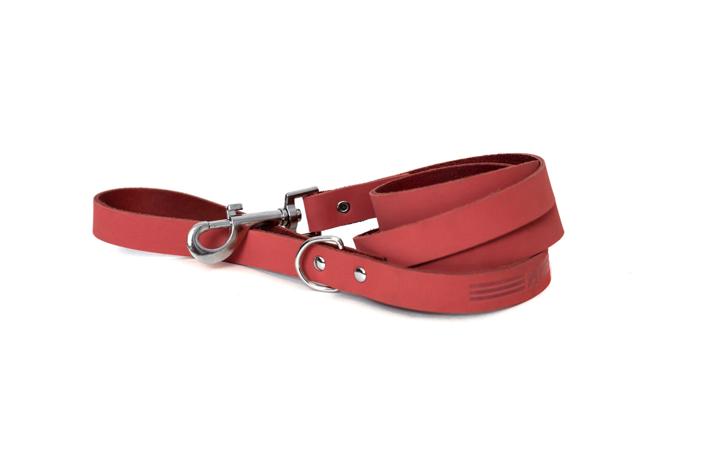 Modern Leather Leash