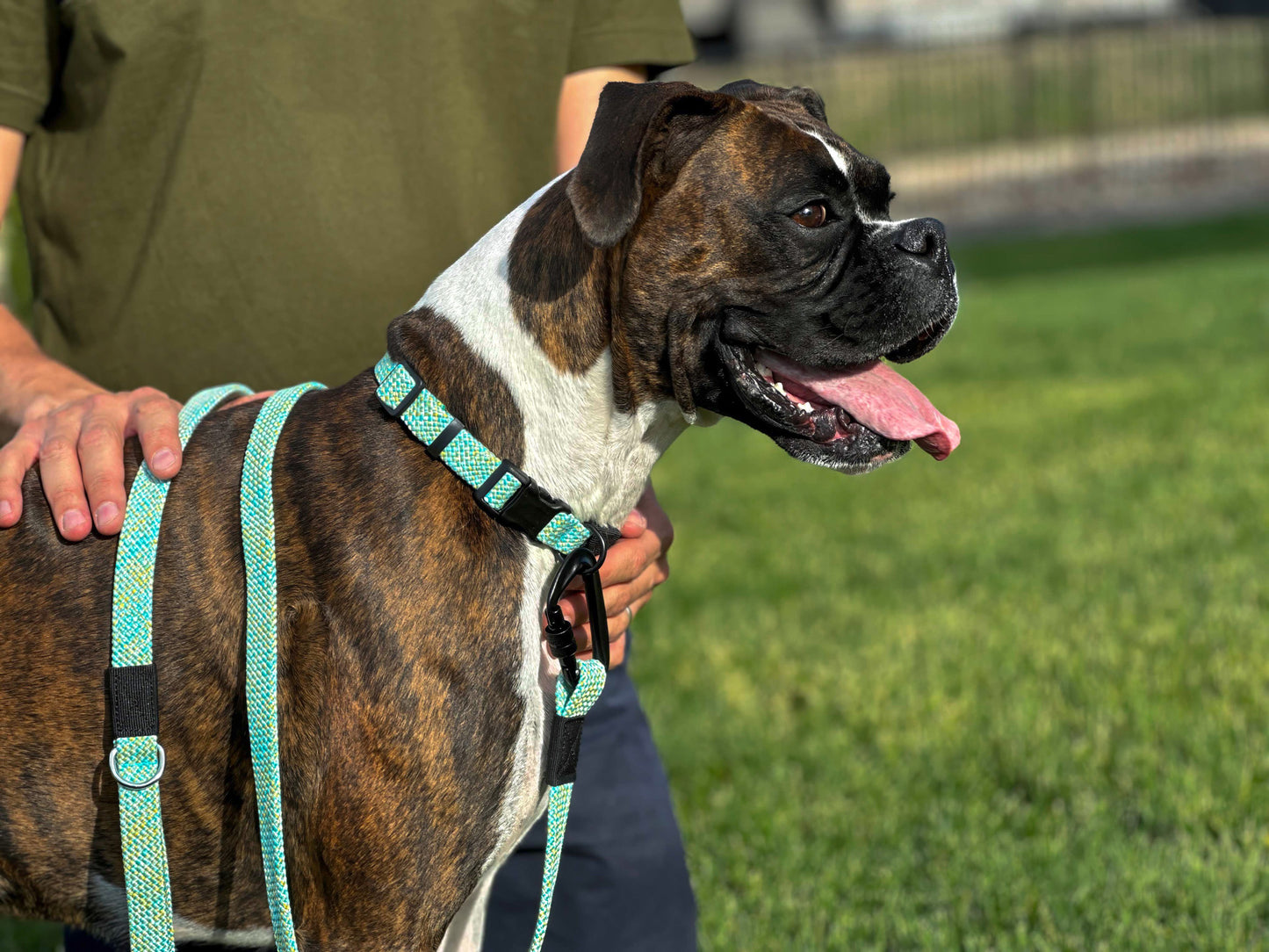 Adventure Style Collar and Leash SET