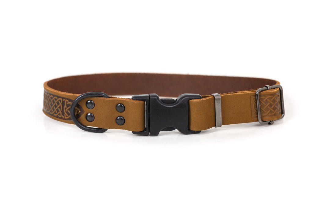 Celtic Sport Quick-Release Leather Dog Collar