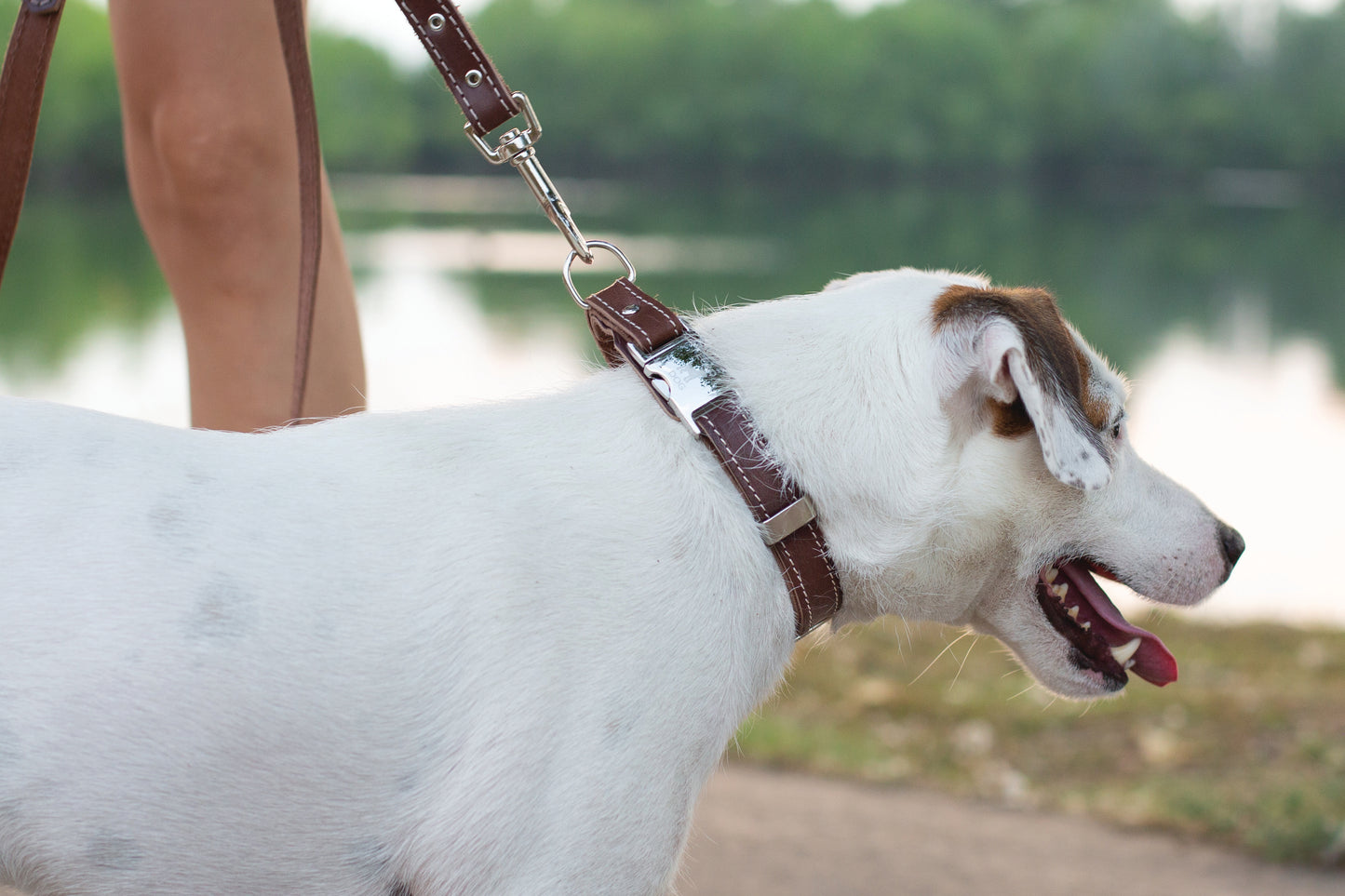 Traditional Chocolate Leather Leash