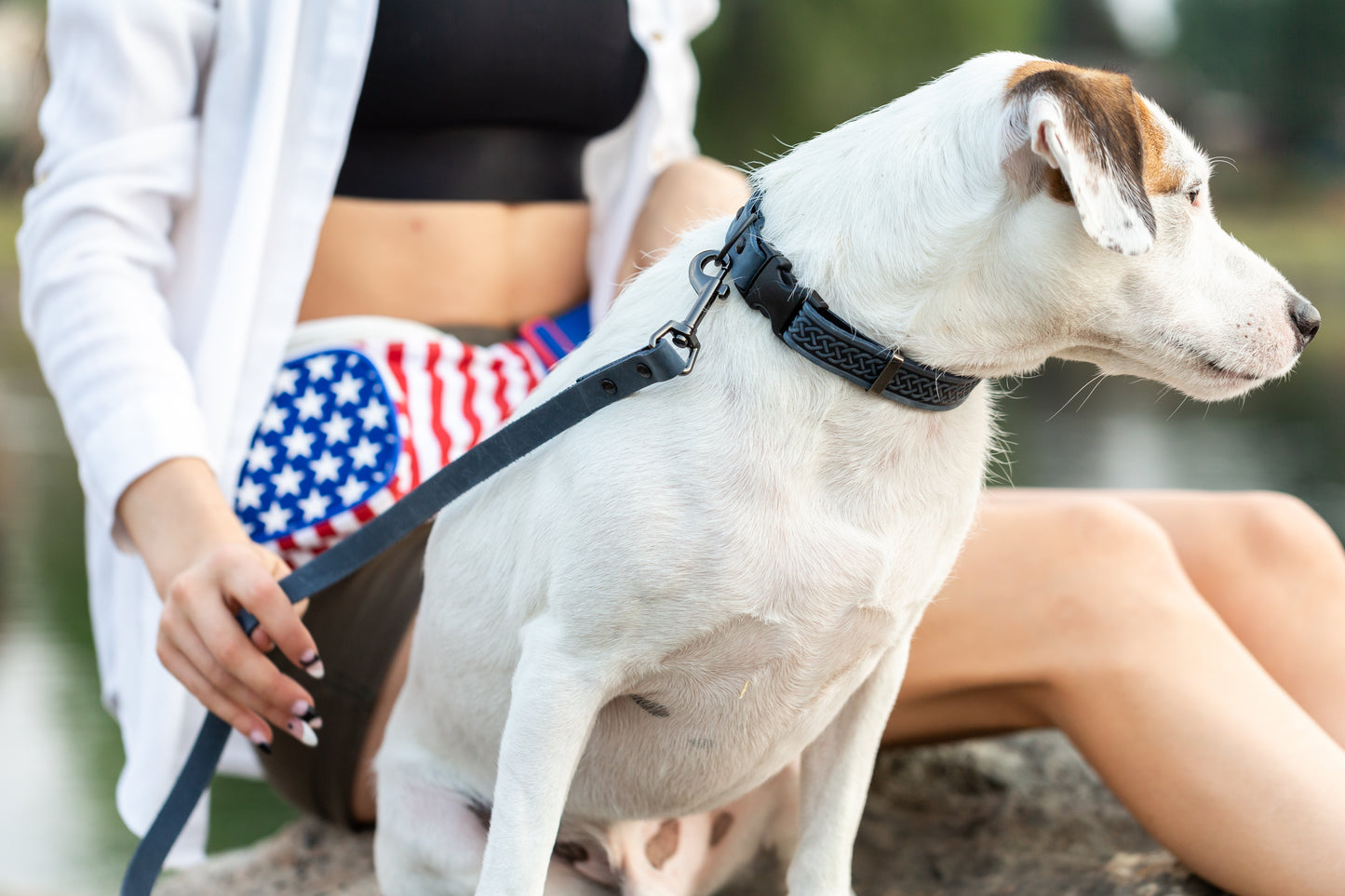 Celtic Sport Blue Jeans Leather Dog Collar