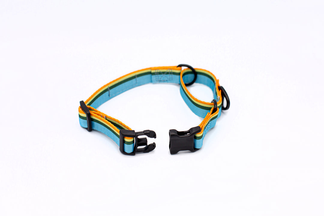 Outdoor Style All Nylon Martingale Collar