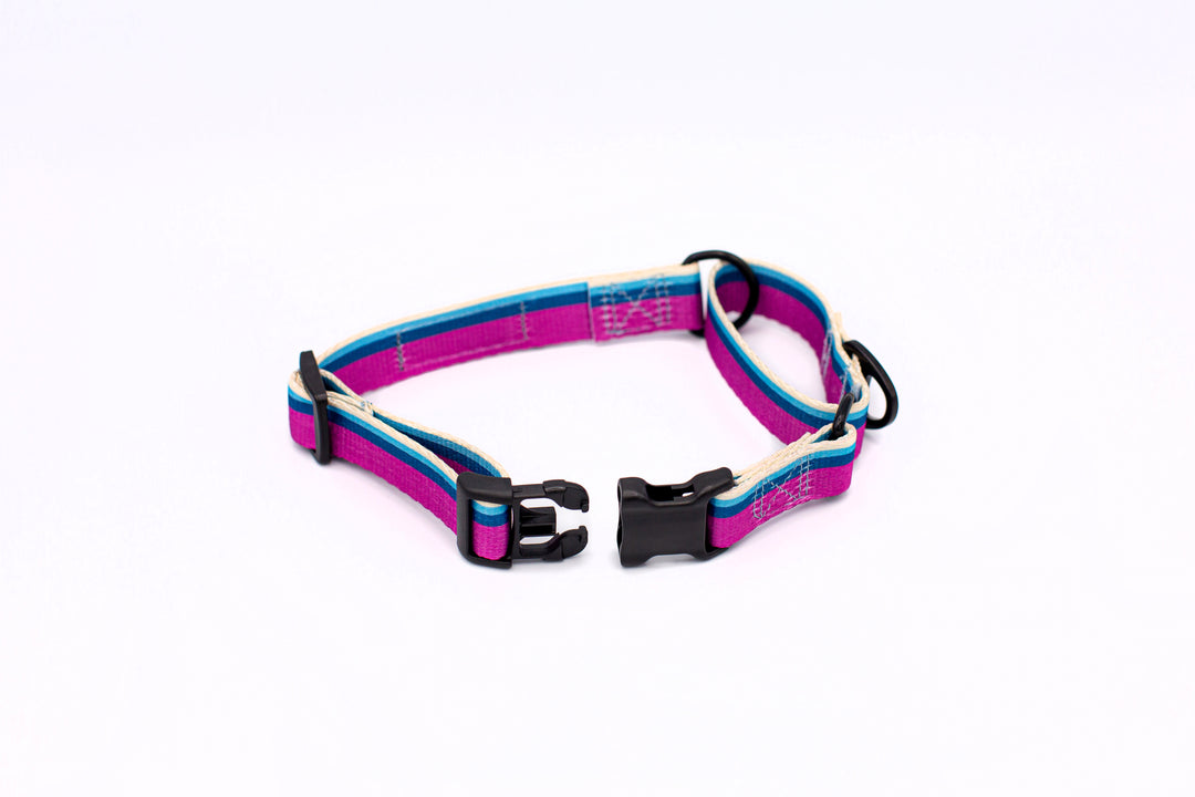 Outdoor Style All Nylon Martingale Collar