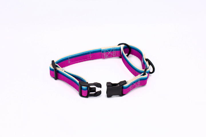 Outdoor Style All Nylon Martingale Collar
