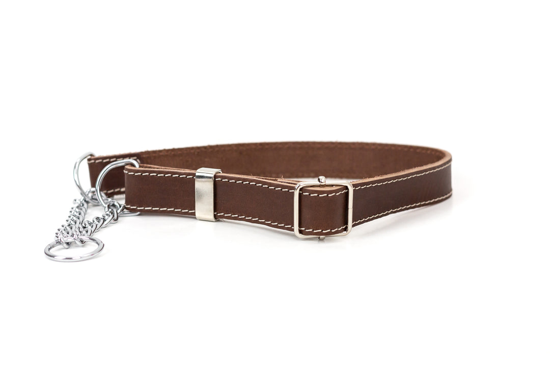 Martingale Leather Dog Collar