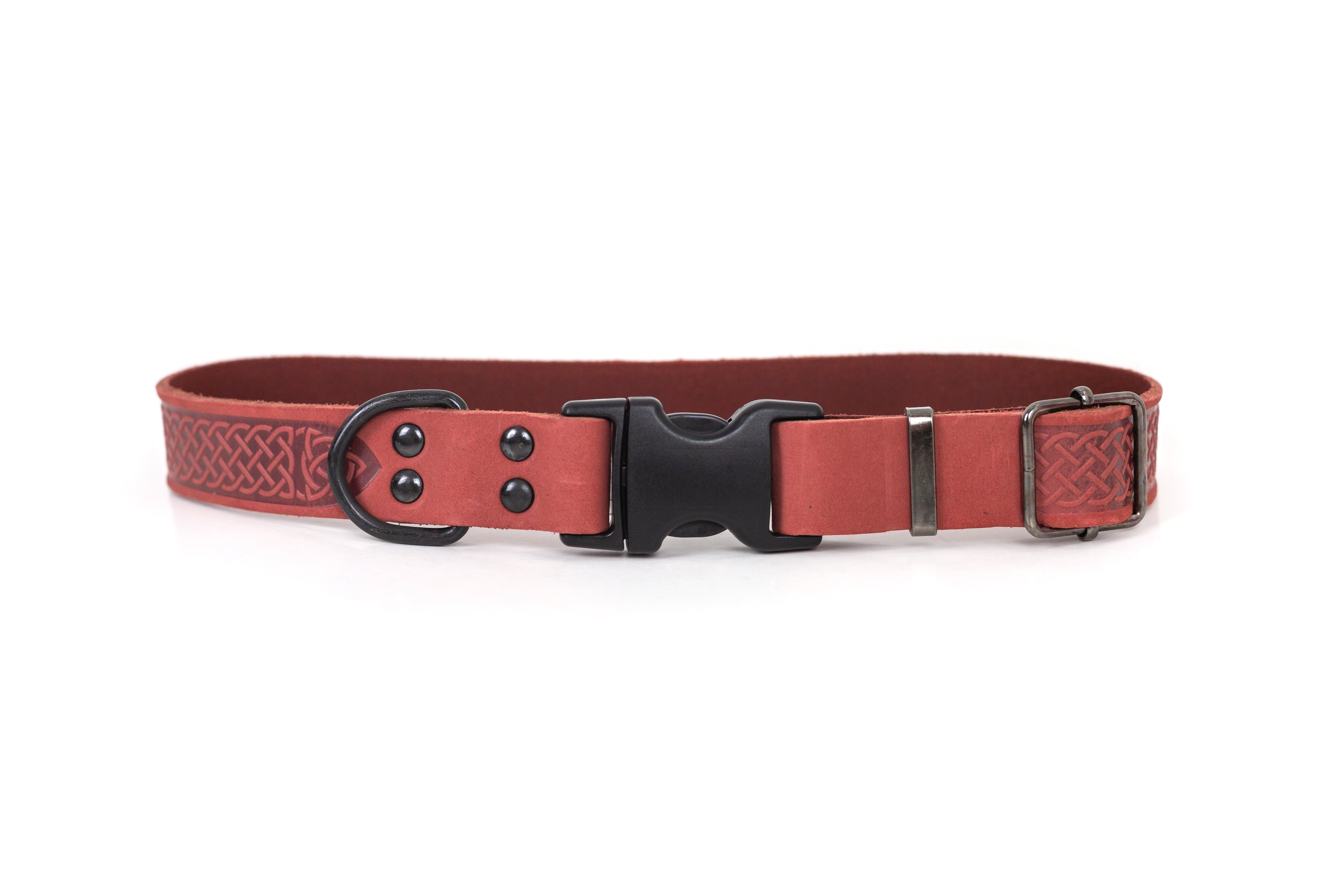 Coral dog collar best sale