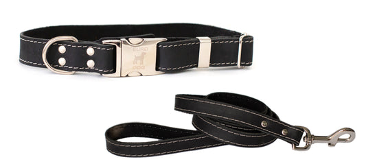 Quick-Release Style Leather Collar and Leash Set