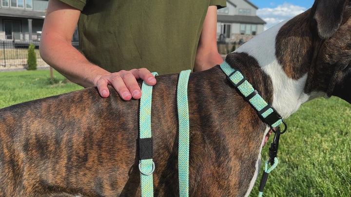 Climbing Rope Dog Collar
