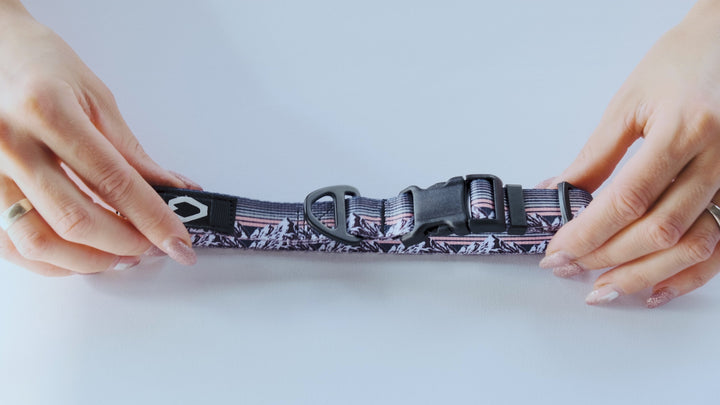 Outdoor Style Nylon Dog Collar