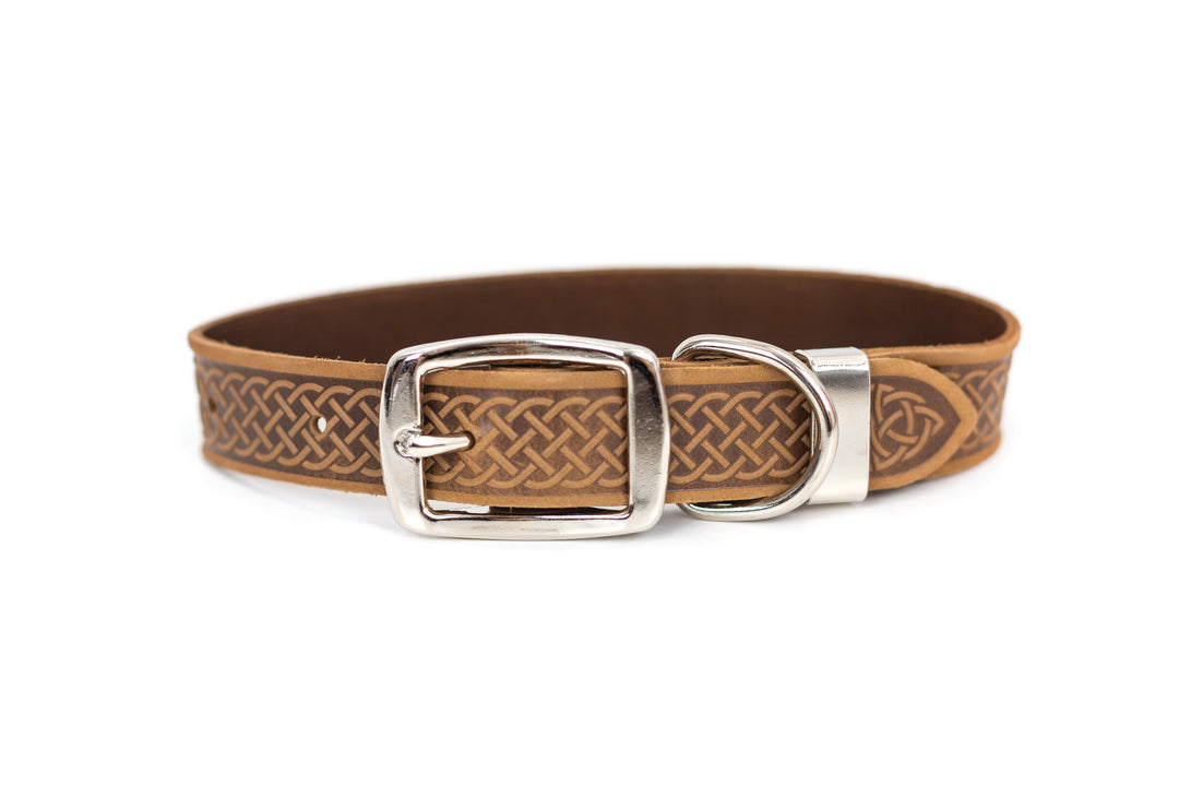 Celtic Double Buckle Style Leather Dog Collar