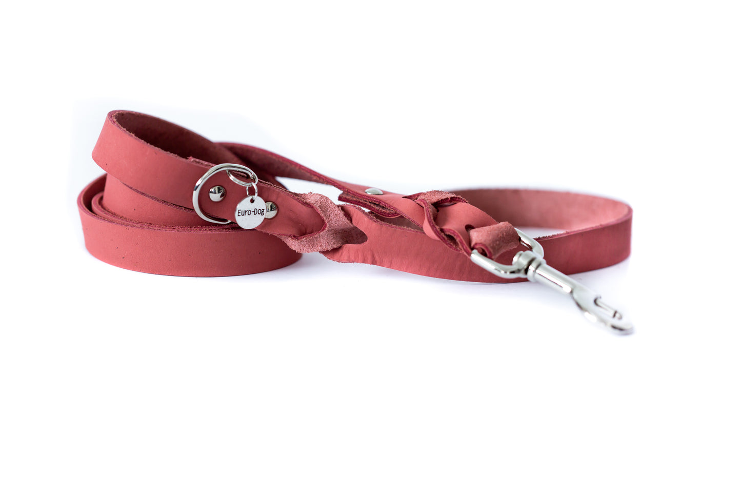 Leather Braided Dog Leash