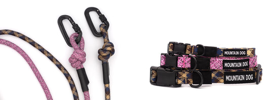 Adventure Style Collar and Leash SET