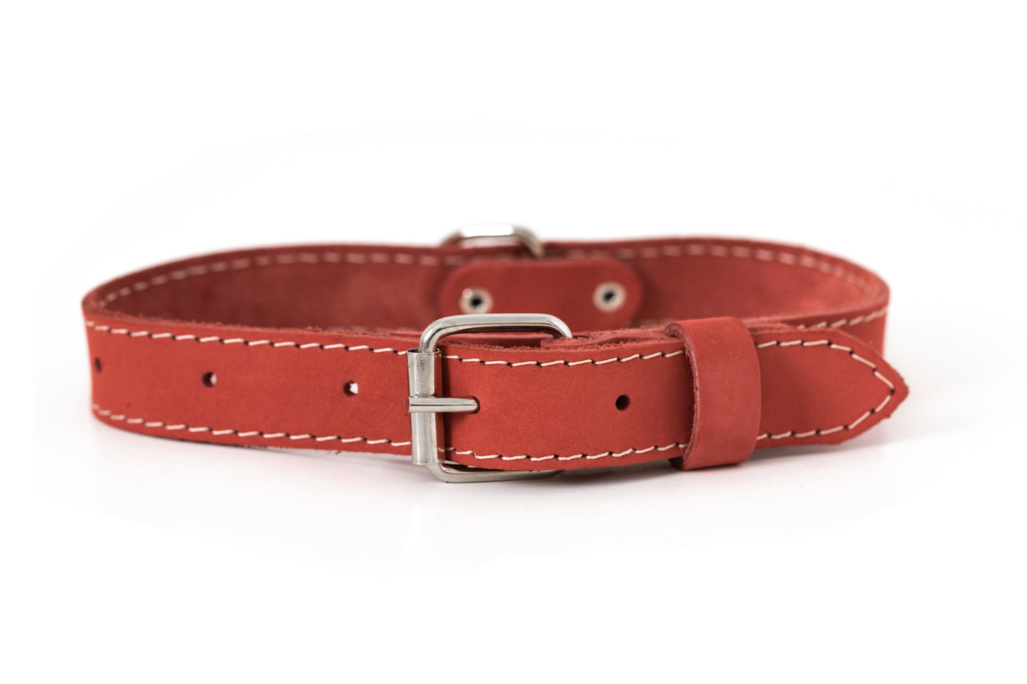 Traditional Coral Reef Leather Dog Collar